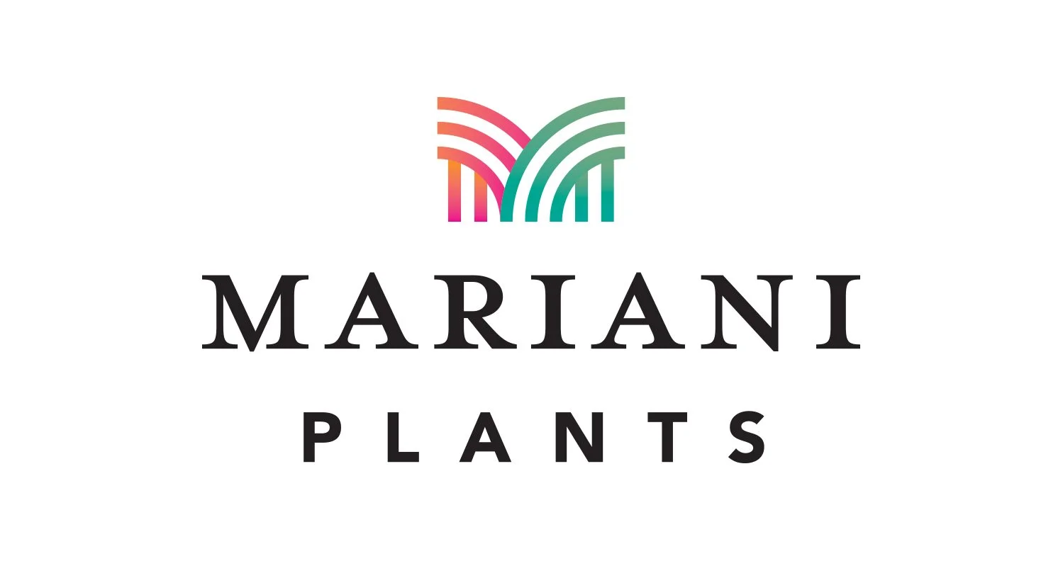 ZZ Plant — Mariani Plants